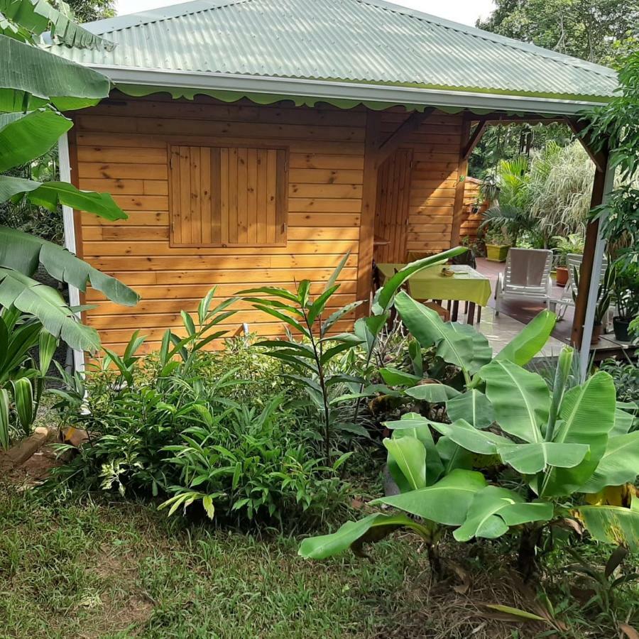 Villa Le Filao Pointe-Noire Exterior foto